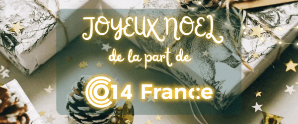 FRANCE - Noël 014